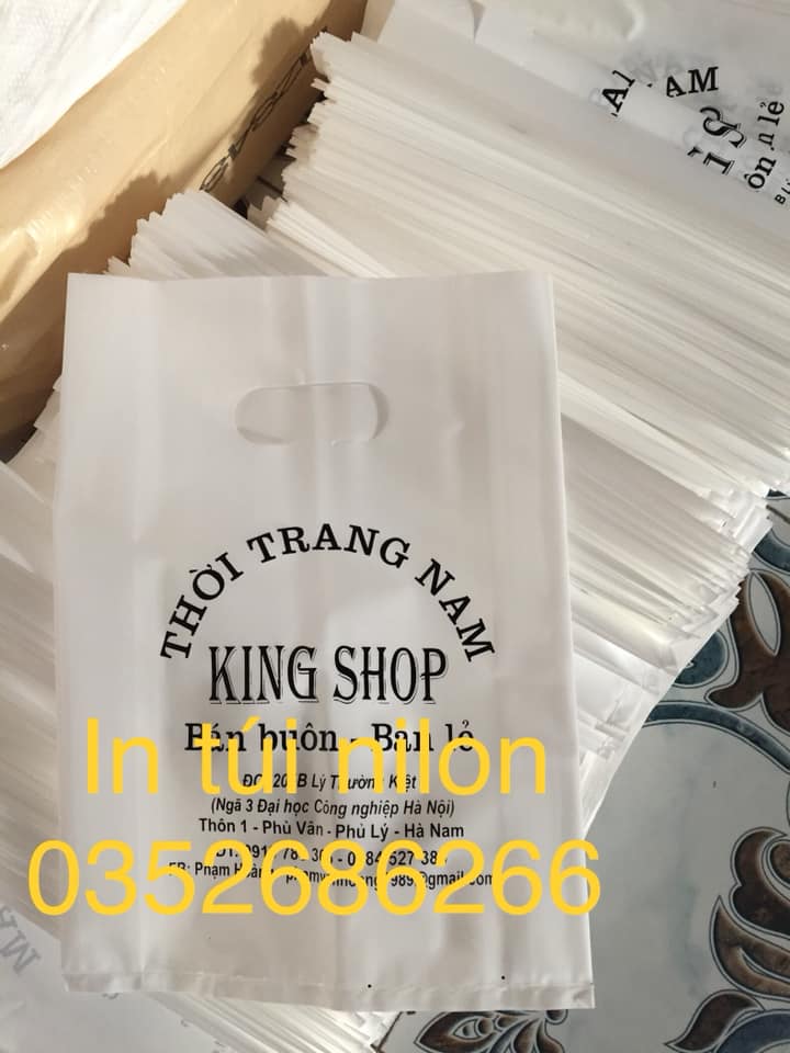 In túi Ninh Bình